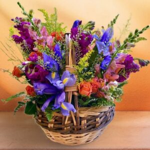 Basket of Colors