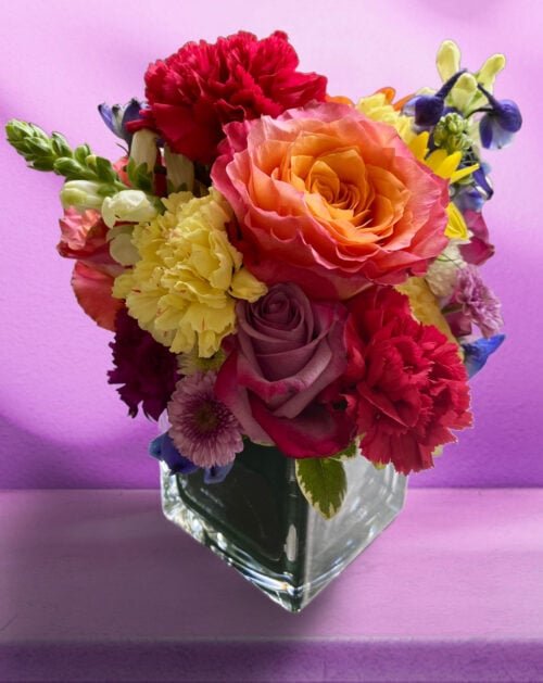 Rainbow Delight - Main view