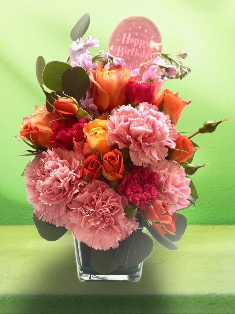 Sunset Rose - Main view