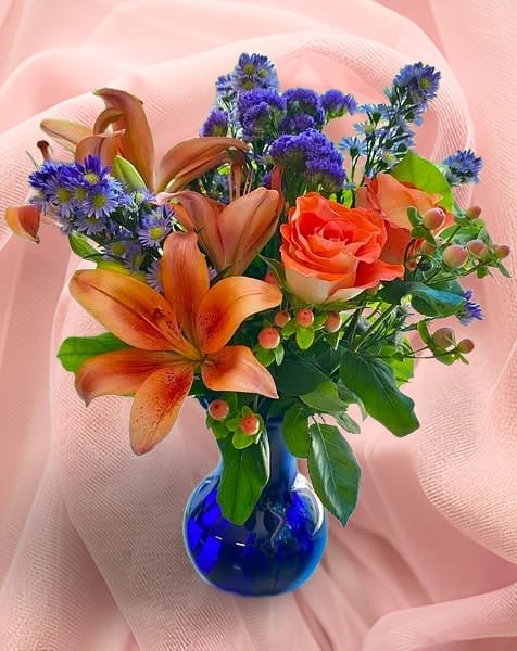 Garden Beauty - Main view