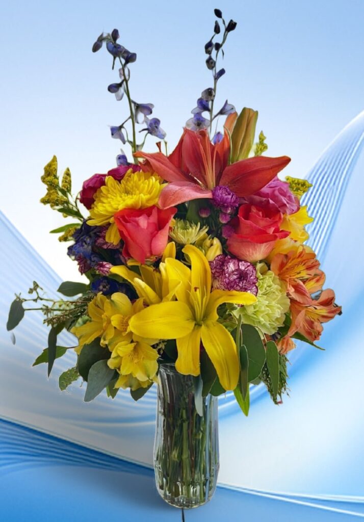 Lily Palooza - Main view