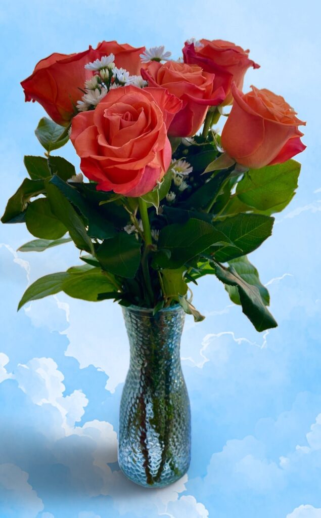 6 Roses (Long Stem) - Main view