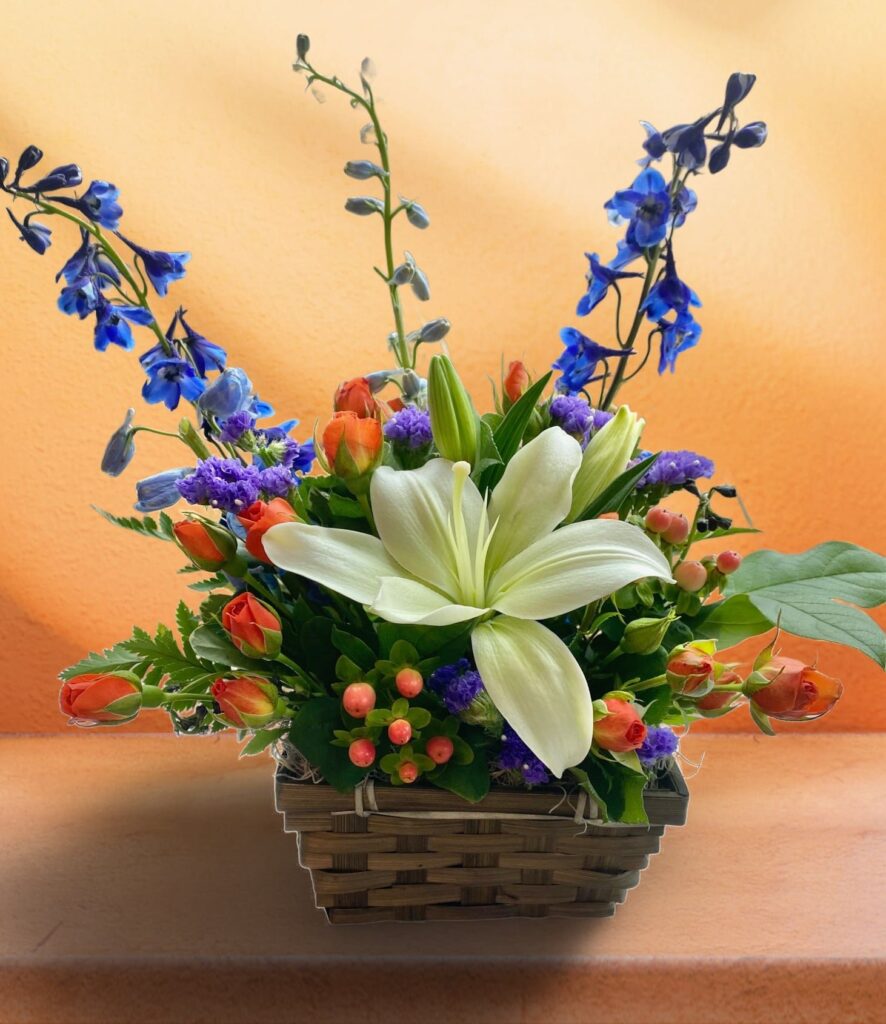 Beautiful Basket - Main view