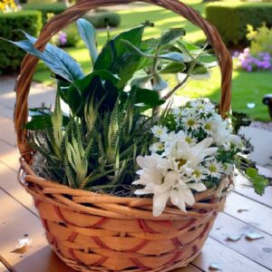 Succulent Flower Basket
