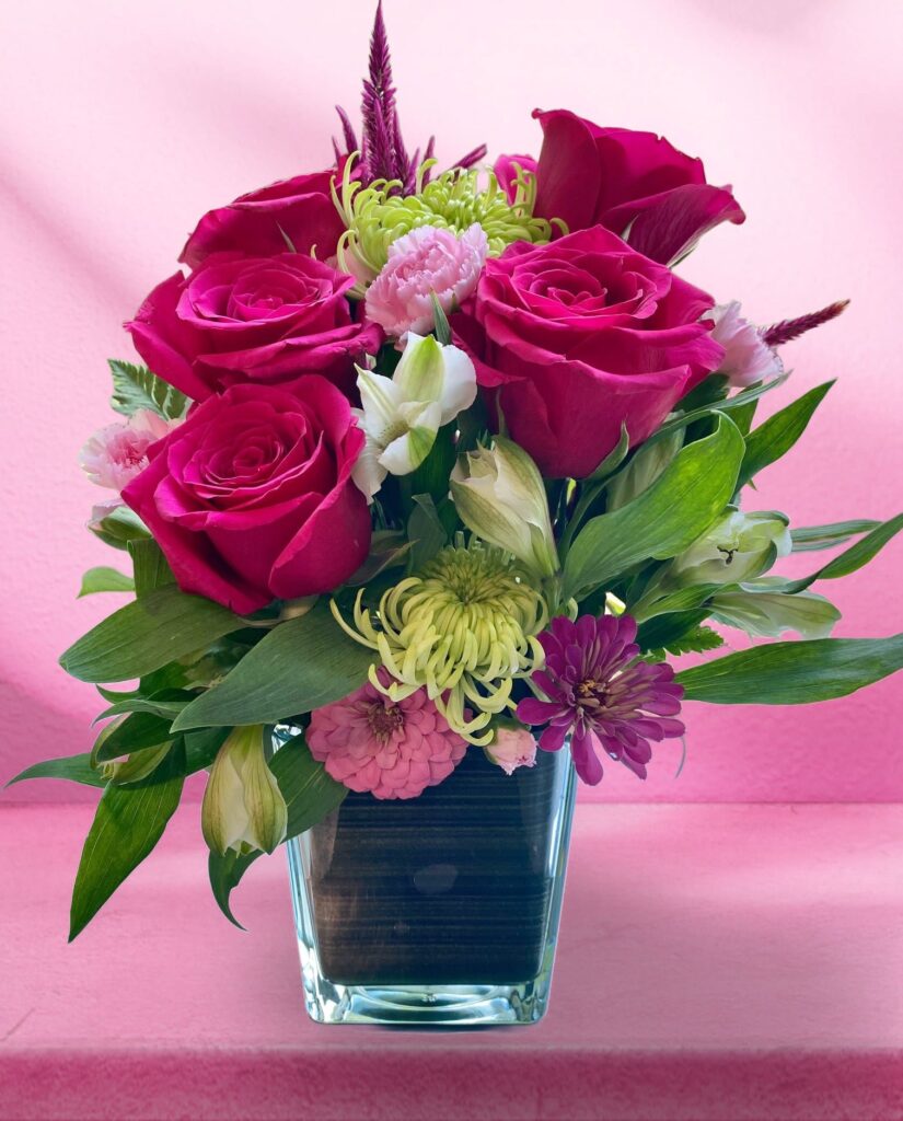 Pink Beauty - Main view