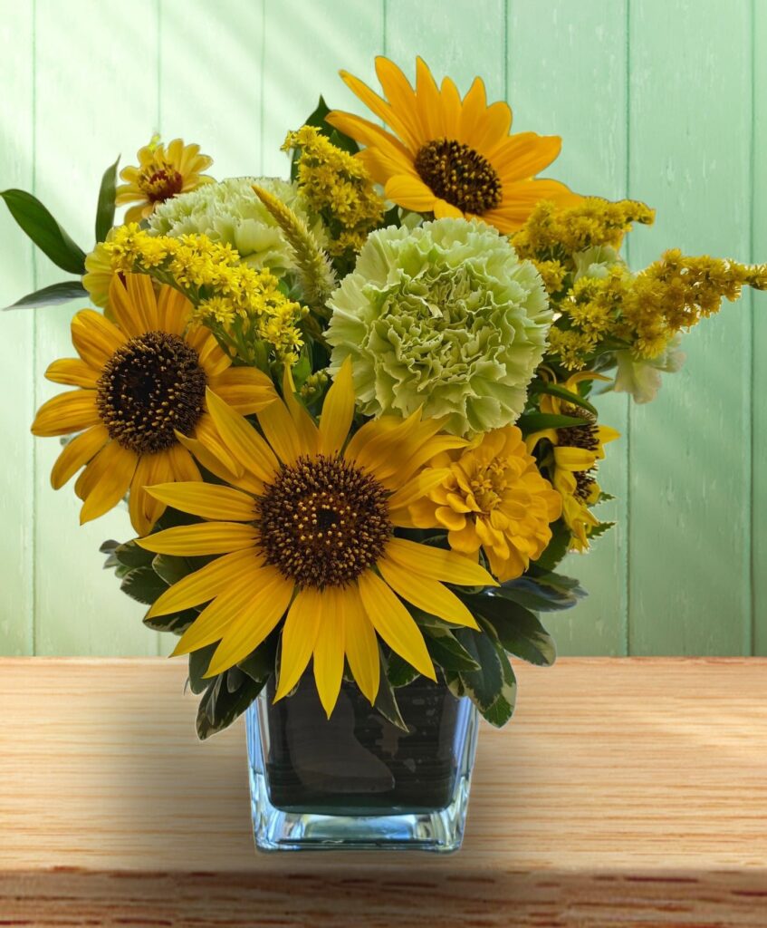 Sunny You - Main view