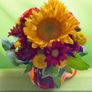 Pumpkin cup of Fall blooms