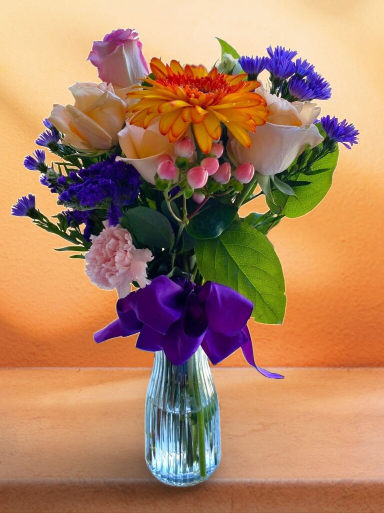 Indigo Pop - Main view