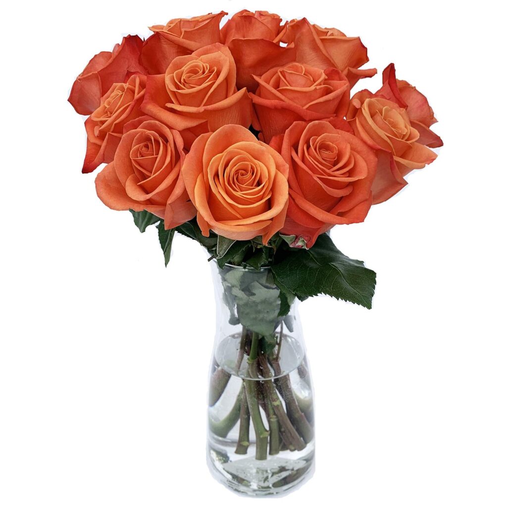 Orange Roses(Dozen) - Main view
