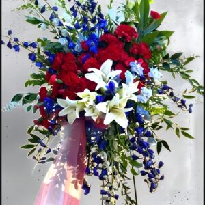 Patriotic Color Spray