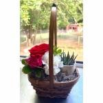 Succulent Flower Basket
