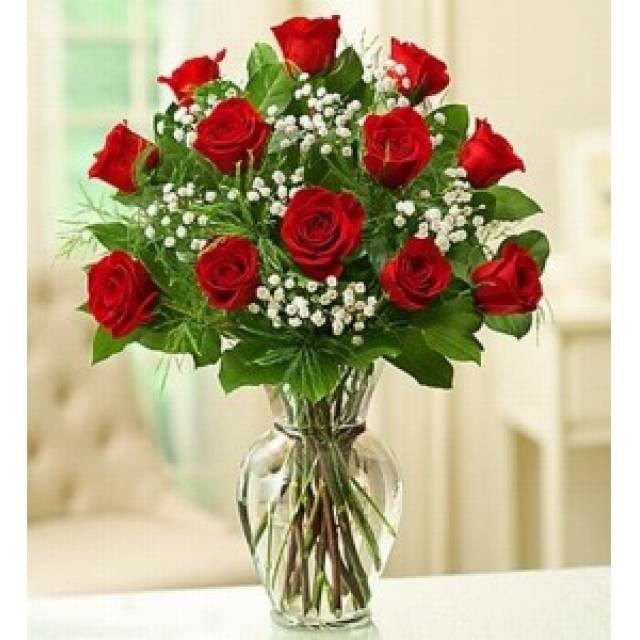 Dozen Roses & Baby Breath - Main view
