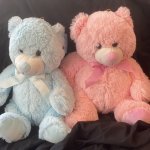 Teddy Bears (pink or blue)