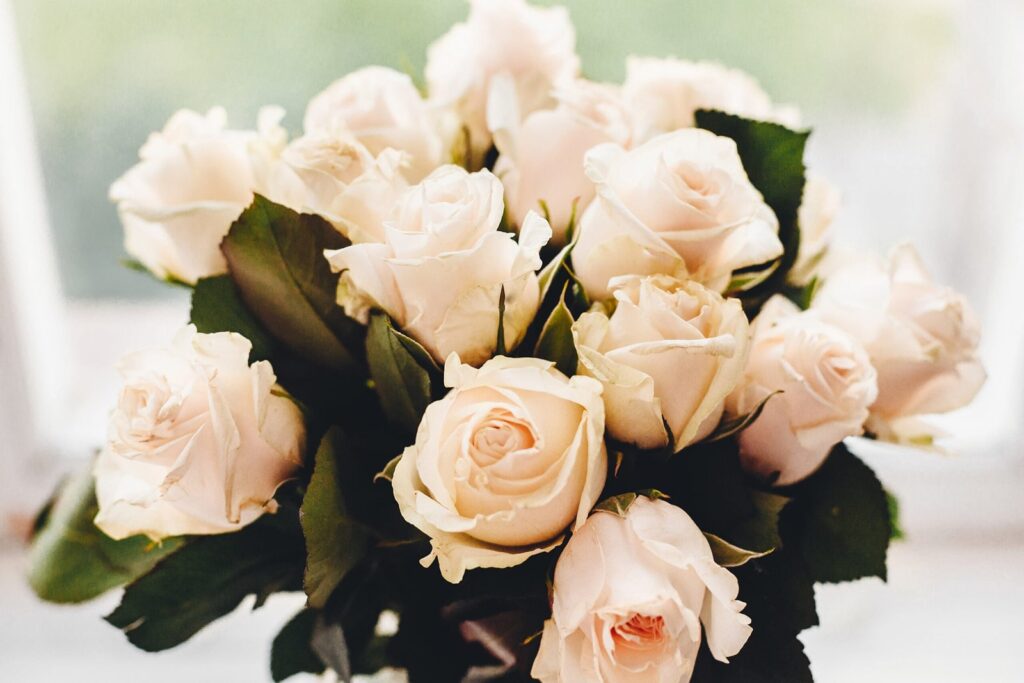 White Roses(Dozen) - Main view