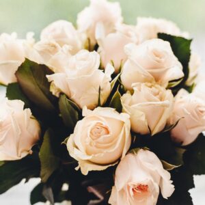 White Roses(Dozen)