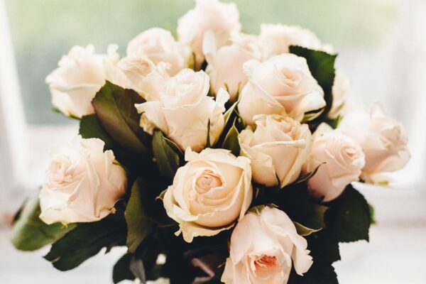 White Roses(Dozen)