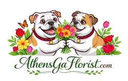 Athens Ga Florist