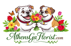 Athens Ga Florist