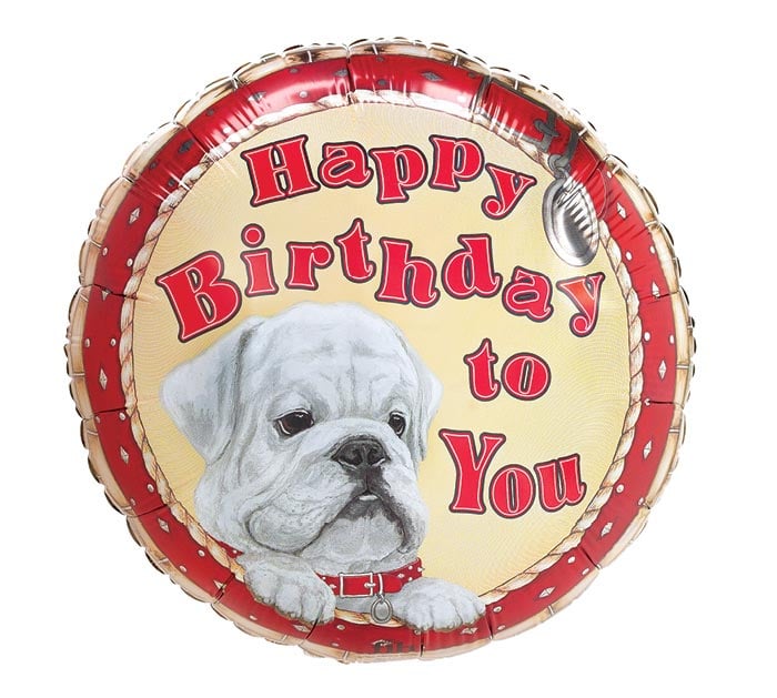 HBD Dawg Mylar - Main view