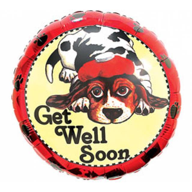Get Well  Puppy Dog - Main view