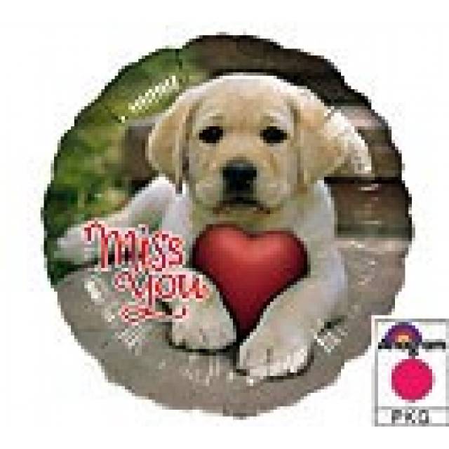 Miss You - Main view